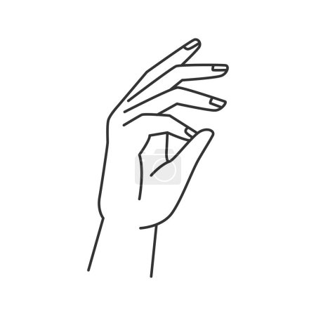 Ilustración de Mano abstracta mujer gesto del brazo, manicura perfecta. Brazo gestor vectorial, señal de comunicación no verbal. Palma aislada con uñas femeninas, signo de lenguaje corporal - Imagen libre de derechos