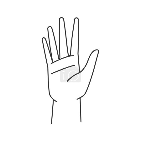 Téléchargez les illustrations : Paume ouverte humaine avec les doigts, geste isolé de la main avec les doigts vers le haut. Signe de communication non verbale. Arrêtez ou saluez, agitant le bras pendant la réunion. Icône de contour vectoriel en style plat - en licence libre de droit