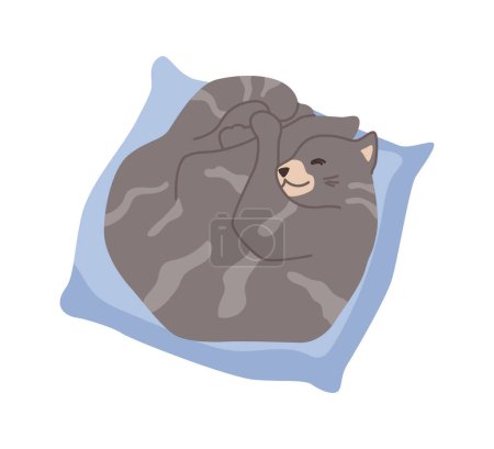 Illustration for Cat life and habits, leisure of kitty character. Isolated kitten sleeping in bed. Domestic pet, feline animal resting and napping. Vector in flat style - Royalty Free Image