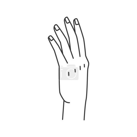 Illustration for Human open palm with fingers, stop or greeting sign. Vector waving arm during meeting, outline icon in flat style. Isolated hand gesture with fingers up. Non verbal communication sign - Royalty Free Image