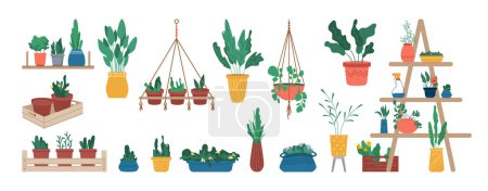 Illustration for Gardening hobby or florist shop with flower pots and houseplants icons set. Isolated potted plants with lush greenery and foliage, flourishing and blossom. Vector in flat style - Royalty Free Image