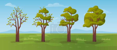 Illustration for Blooming tree during spring season, a blossom of leaves and green foliage. Summer meadow with grass and clear sky. Nature revival. Vector in flat style - Royalty Free Image