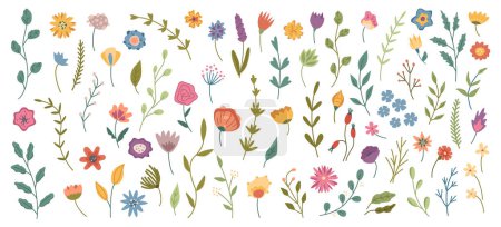 Illustration for Florist composition with leaves and flowers, blossom of spring or summer. Vector isolated plants and wildflowers, tulips and poppies, daisies and branches with foliage and stems leafage - Royalty Free Image