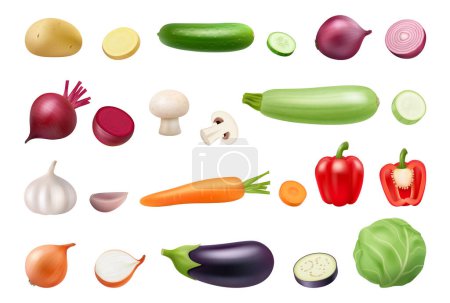 Illustration for Organic harvested vegetables, whole parts and pieces. Vector isolated realistic paprika bell pepper, zucchini and red onion, beetroot and mushroom. Cabbage and garlic with clove, potato - Royalty Free Image