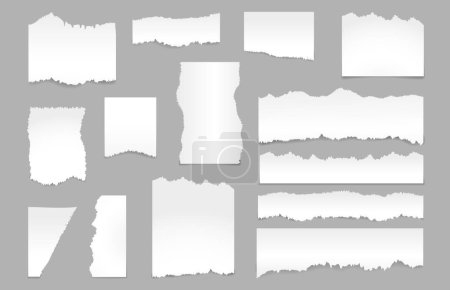 Illustration for Realistic torn paper pieces with ripped up effect texture. Vector isolated empty blank sheets with tearing on sides, corners and ragged edges. Page from notebook or office school stationery - Royalty Free Image