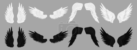 Illustration for Pair of realistic wings of animal or fictional creature, character or personage of game. Vector fantasy or magic asset, plumelets of black and white color. Demon and angel, feathered decor - Royalty Free Image
