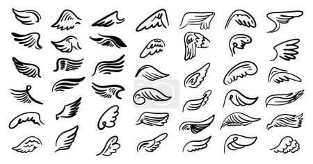 Stretched to fly wings of angelic creature or bird. Vector isolated set of stretched plumage, doodle or sketch monochrome outline of angel or devil part. Flight or stylized decoration for design
