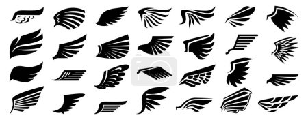 Téléchargez les photos : Silhouettes rétro ou vintage d'ailes noires avec plumes et plumage. Ange isolé vecteur, partie du corps démoniaque ou aviaire. Pièce de costume, décor ailé fantaisie ou croquis de tatouage - en image libre de droit
