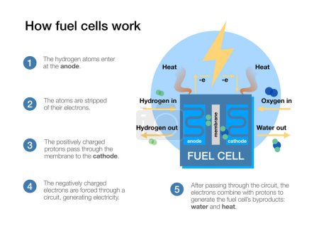 Téléchargez les photos : Fonctionnement des piles à combustible pour produire de l'électricité à partir d'hydrogène et d'air - en image libre de droit
