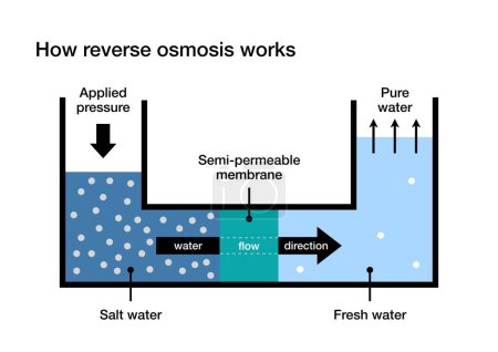 Photo for How reverse osmosis works for water desalination - Royalty Free Image