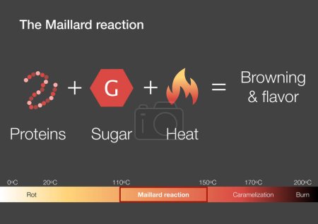Foto de Explicación de la reacción química de Maillard en la cocción - Imagen libre de derechos