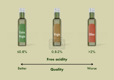 Téléchargez les photos : Différentes qualités d'huile d'olive d'huile extra vierge, vierge et lampante - en image libre de droit