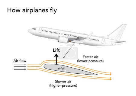 Infografía que explica cómo los aviones generan elevación y vuelan