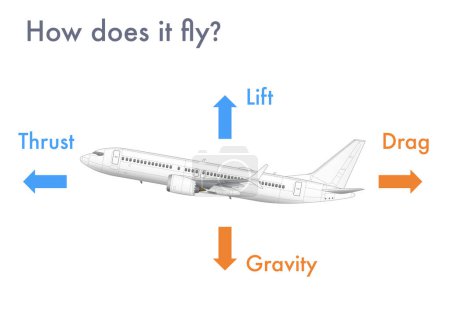 Foto de Infografía que explica cómo los aviones generan elevación y vuelan - Imagen libre de derechos