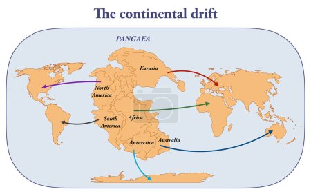 Die Kontinentalverschiebung und die Bildung der Kontinente durch die Trennung von Pangäa