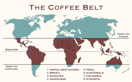 Das Gebiet der Welt, bekannt als Kaffeegürtel, zu dem die wichtigsten Kaffee produzierenden Länder gehören