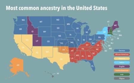 Photo for Map with the most common ancestry per state in the United States of America - Royalty Free Image