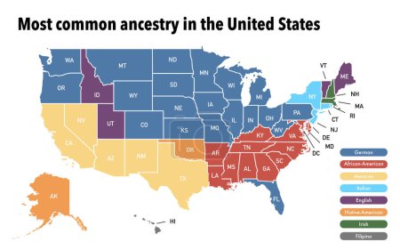 Foto de Mapa con los ancestros más comunes por estado en los Estados Unidos de América - Imagen libre de derechos