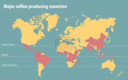 Mapa del mundo con los principales países productores de café