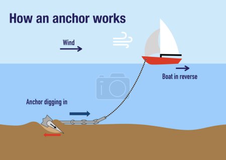 Photo for How an anchor is being set to secure the boat into position - Royalty Free Image