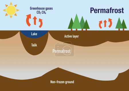 Foto de Infografía que explica lo que es el permafrost - Imagen libre de derechos