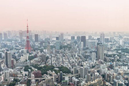 Photo for Aerial view of Tokyo skyline, Japan - Royalty Free Image