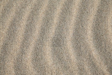 Photo for Sandy beach background pattern - Royalty Free Image