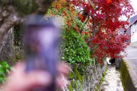 Téléchargez les photos : Un smartphone tirant empilé feuilles rouges dans la gouttière étroite en automne. Photo de haute qualité. Sakyo ku Kyoto Japon 12.01.2023. C'est feuilles rouges dans la zone traditionnelle japonaise en automne. - en image libre de droit