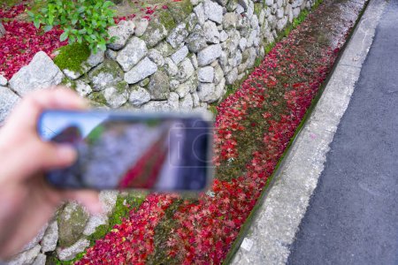Téléchargez les photos : Un smartphone tirant empilé feuilles rouges dans la gouttière étroite en automne. Photo de haute qualité. Sakyo ku Kyoto Japon 12.01.2023. C'est feuilles rouges dans la zone traditionnelle japonaise en automne. - en image libre de droit