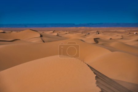 A sand dune of sahara desert at Mhamid el Ghizlane in Morocco. High quality photo. Zagora district Mhamid el Ghizlane Morocco 03.06.2024 Here is a desert area in Morocco.