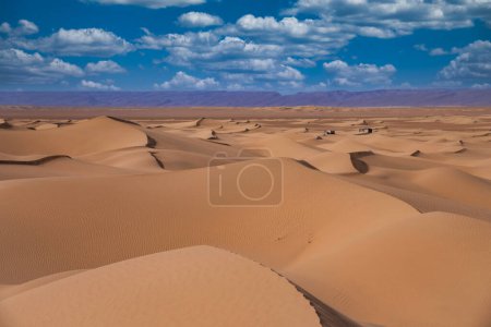 A sand dune of sahara desert at Mhamid el Ghizlane in Morocco. High quality photo. Zagora district Mhamid el Ghizlane Morocco 03.06.2024 Here is a desert area in Morocco.