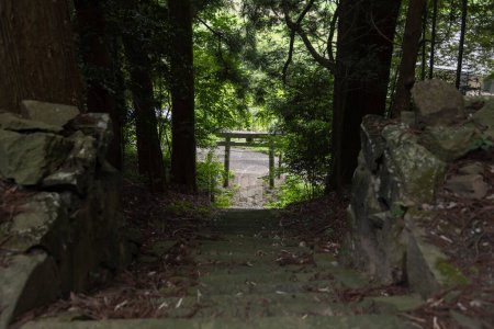 Eine Steintreppe in der Nähe eines alten japanischen Schreins auf dem Land in Gunma Japan. Hochwertiges Foto. Agatsuma Bezirk Nakanojo Gunma Japan 20.07.2023 Dieser Schrein wird SUWA SHRINE genannt. Hier ist ein