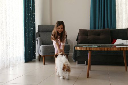 Foto de Niña de seis años jugando a tirar con el lindo cachorro de pelo de Jack Russell Terrier en casa. Primer plano, espacio de copia, fondo interior. - Imagen libre de derechos