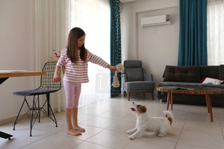 Foto de Niña de seis años jugando a tirar con el lindo cachorro de pelo de Jack Russell Terrier en casa. Primer plano, espacio de copia, fondo interior. - Imagen libre de derechos