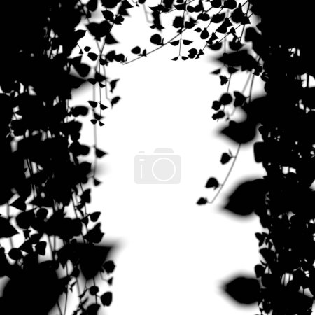Awhite background framed by a silouette of hanging vines - 3D render