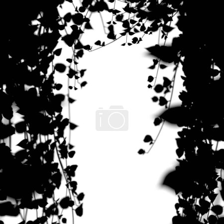 Awhite background framed by a silouette of hanging vines - 3D render