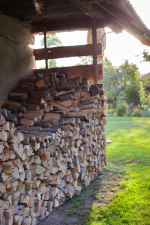 Photo for A stack of firewood for the winter in the village - Royalty Free Image