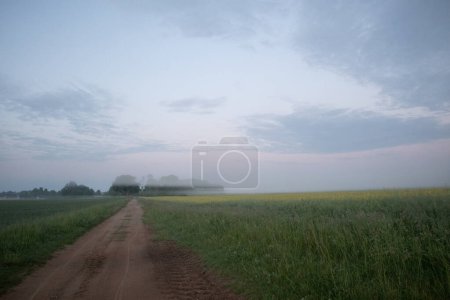 Photo for Misty Pathways: Enchanting Gravel Dirt Country Road in a Summer Morning Fog in Northern Europe - Royalty Free Image