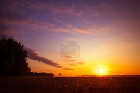 Radiant Dawn: Majestic Colorful Sunrise Painting the Summer Fields in Northern Europe