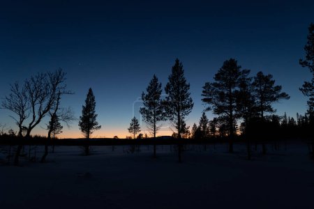Mystical Swedish Winter Wilderness: Nocturnal Snowscape Under the dark Sky in Northern Europe
