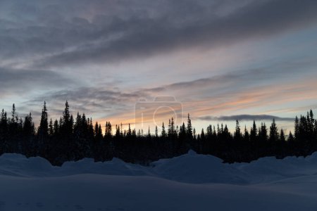 Arctic Splendor: Sunrise over Sweden's Snowy Wilderness with Colorful Skies in Northern Europe