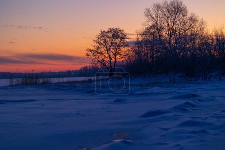 Téléchargez les photos : Un beau paysage au lever du soleil avec une silhouette d'arbre contre le lac gelé. Paysages d'hiver de l'Europe du Nord. - en image libre de droit