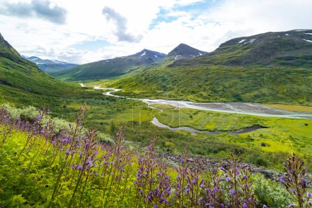 A beautiful Rapa river landscape from above with native flowers blooming on the hillside. Summer landscape of Sarek National Park, Sweden. Mountain river in Northern Europe.