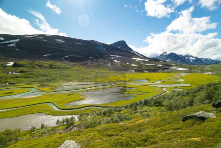 A beautiful Rapa river Rapadalen landscape with native plants. A mountain river from above in Sarek National Park, Sweden. Summer sceney of Northern Europe.