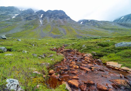 A small, rocky mountain stream in Sarek National Park, Sweden. A beautiful summer landscape with water flow in Northern Europe wilderness.