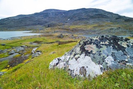 Grande formation rocheuse dans le parc national de Sarek, Suède. Paysage estival de l'Europe du Nord zone sauvage de montagne.