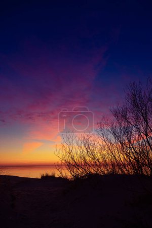 Téléchargez les photos : Un magnifique coucher de soleil printanier sur la plage de la mer Baltique avec des silhouettes de buissons nus contre le ciel coloré. Paysages balnéaires en Europe du Nord. - en image libre de droit