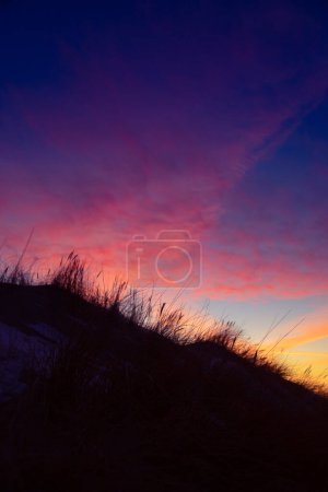 Téléchargez les photos : Un beau paysage printanier au début de la plage de la mer Baltique avec des silhouettes d'herbe contre le ciel coloré. Paysages naturels du nord de l'Europe. - en image libre de droit