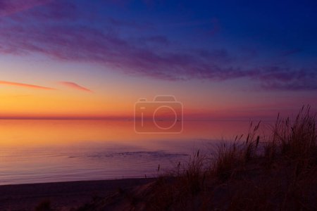Téléchargez les photos : Un beau paysage printanier au début de la plage de la mer Baltique avec des silhouettes d'herbe contre le ciel coloré. Paysages naturels du nord de l'Europe. - en image libre de droit