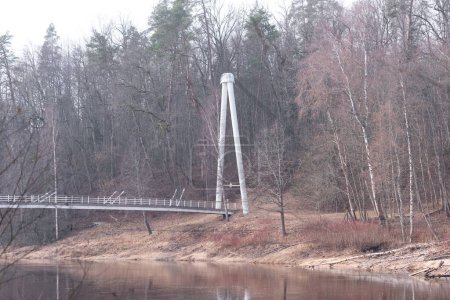 Téléchargez les photos : Un paysage printanier précoce avec pont de marche en bois sur la rivière. Scène rurale naturelle en Europe du Nord. - en image libre de droit